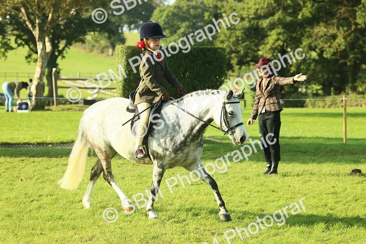 SBM_59136 - S38 - Starters Ridden Showing