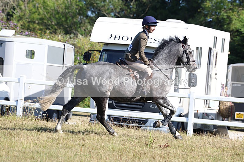 3E7A5528 - Class 3: Working Hunter 70cm