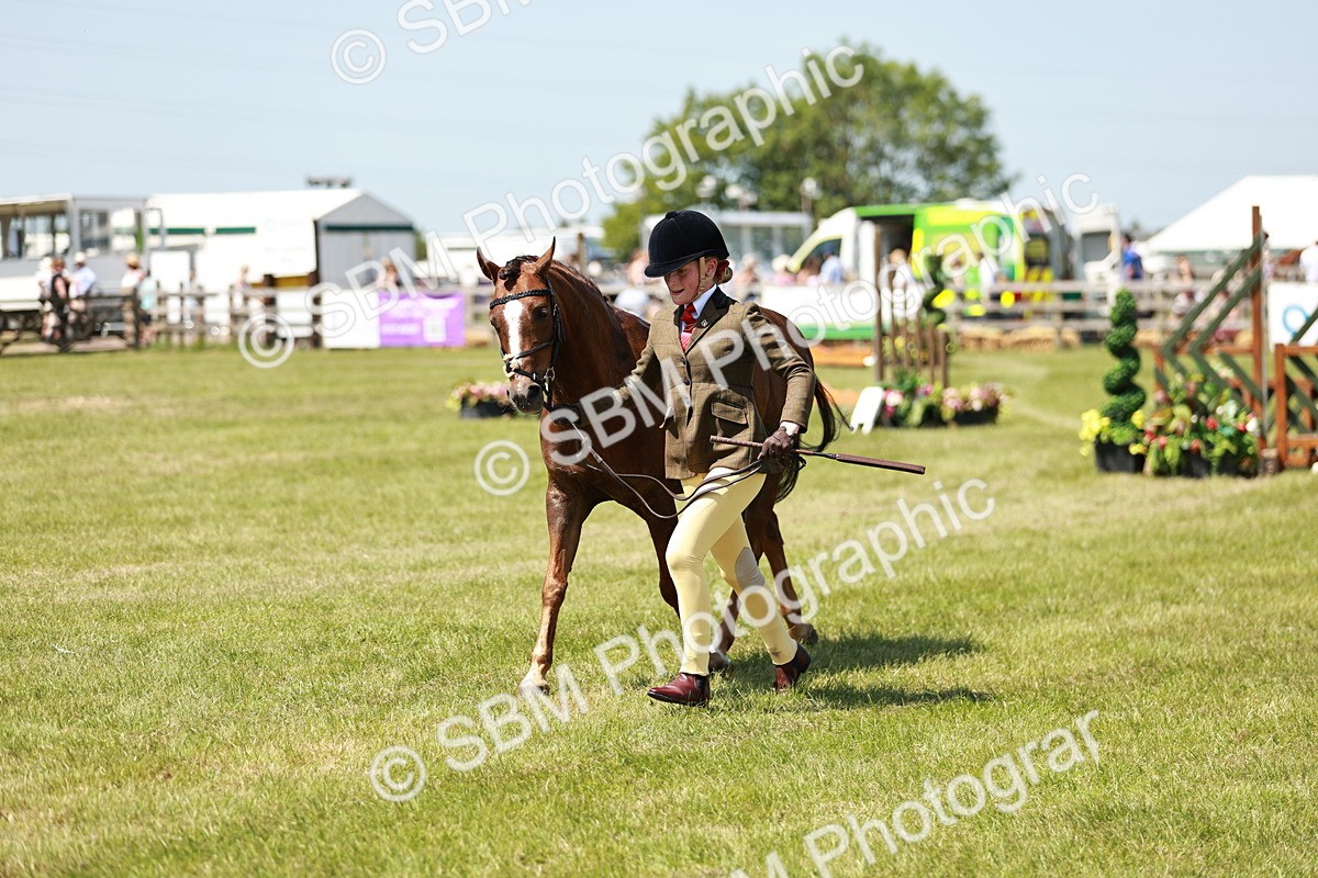 SBM_15607 - Class 108-109 - BSPS LIHS Open Gradle & Nursery Stakes