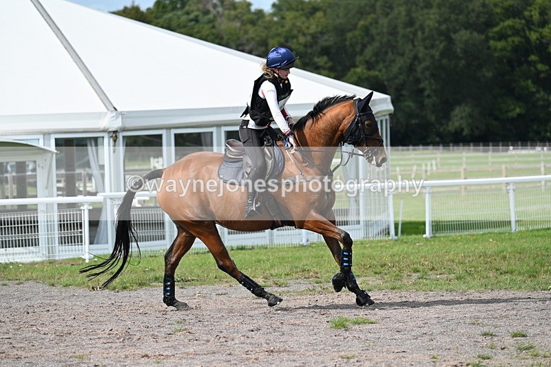 WJ7_2584 - Time 13:55 to 14:05