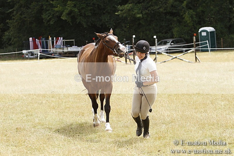 _BS_0965 - BVRC Show 2018 Ring 3