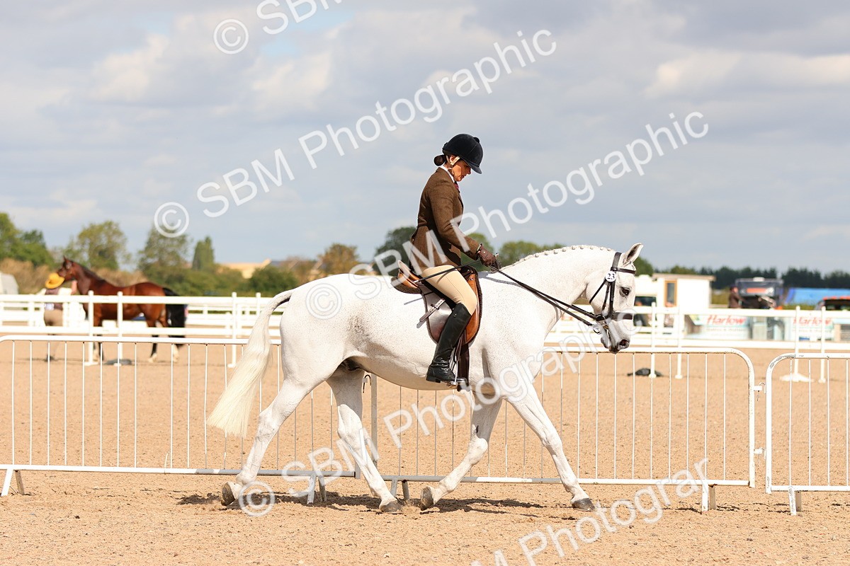SBM_13189 - Class 211 - Ridden Hunter - Small