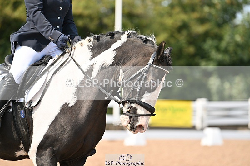 250816-132059-04653 - 114-Stacey.DonnisonPaddy.XIII