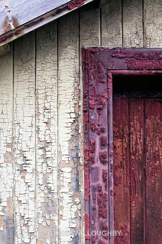  - Detail in the land