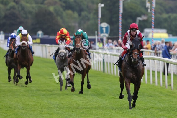 yr24092021r5-21 - Race 5 3.50pm William Hill Leading On Course Bookmaker Stakes