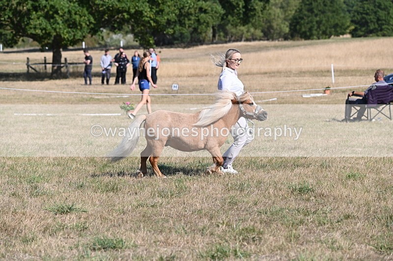 WJ6_7265 - Class 33 Rescue Pony