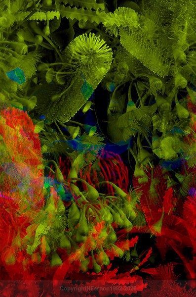 STILL LIFE-CYCLE - STILL LIFE-CYCLE I 2012