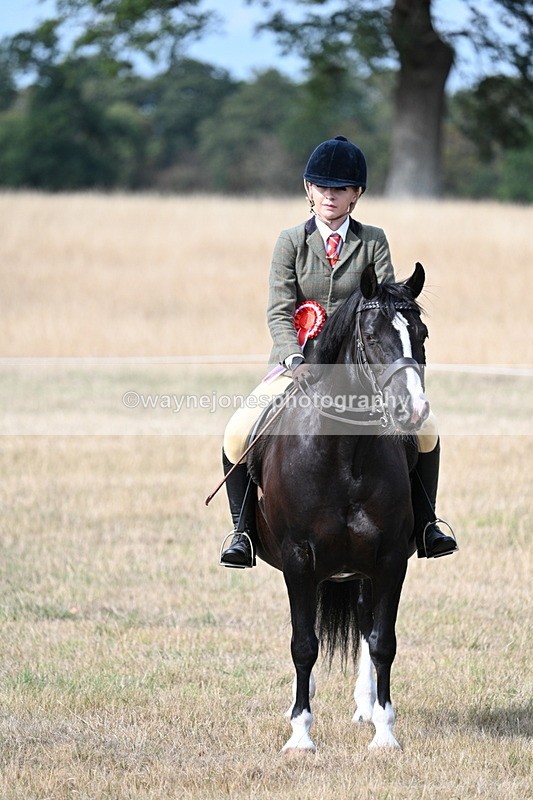 WJ7_7830 - Ridden Championship