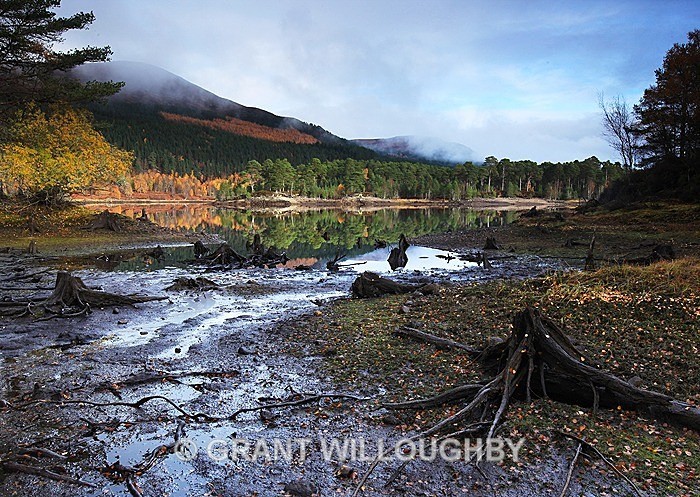 Loch Beinn a'Headhain - Scots Pines