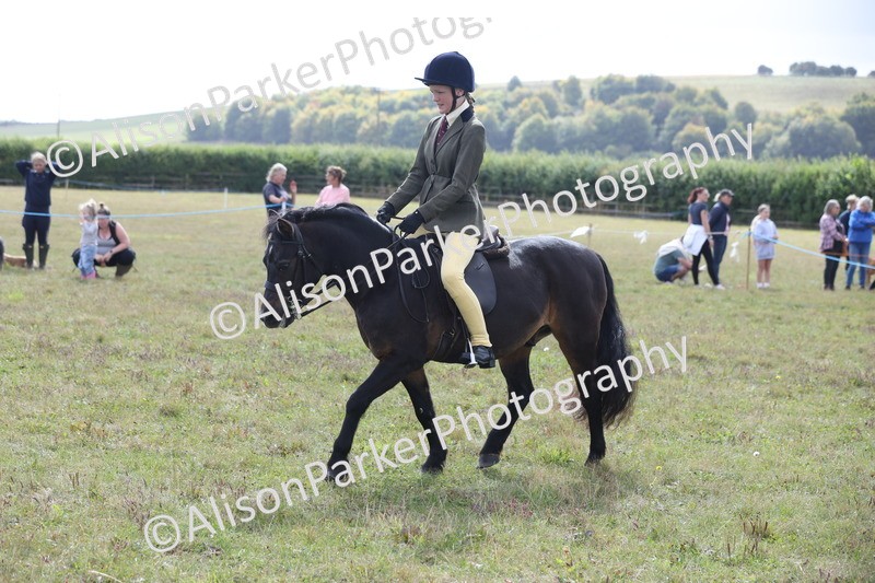 20250831-1161 - Class 15 - Ridden Veteran