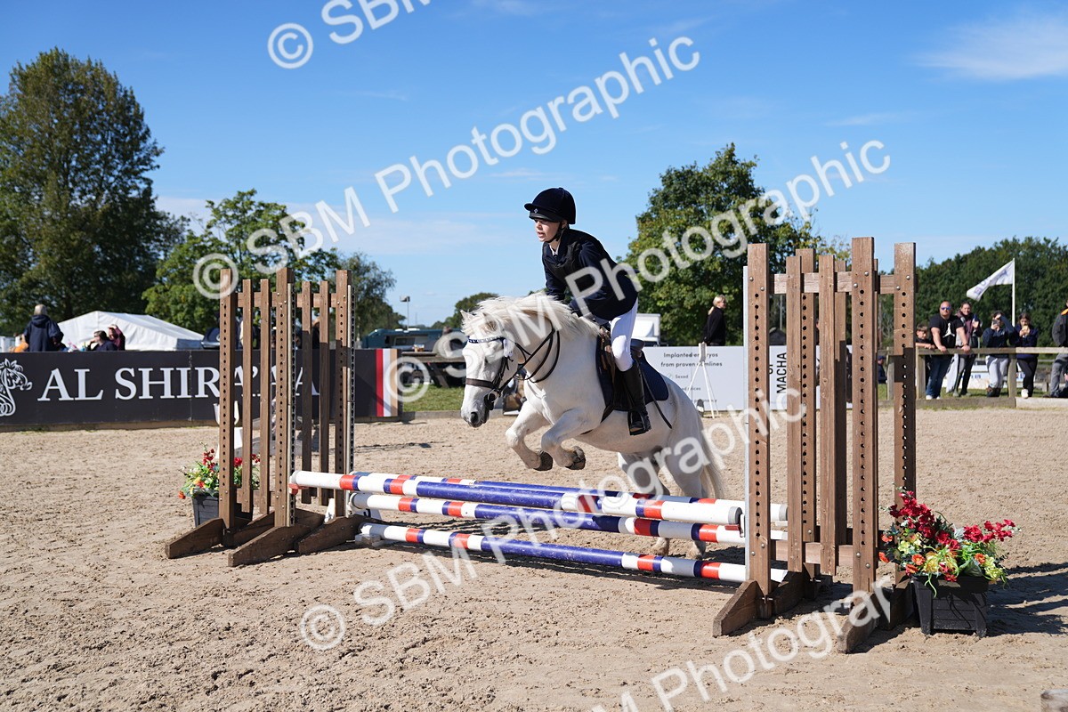 SBM_19500 - J57 - Clear Round 50cm