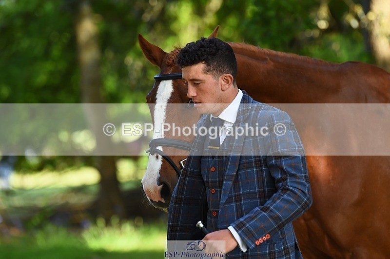 230524-170330-01262 - 131-FORTSIDE_COBRA-Freddie_Carden-WEDTrotUp+DR