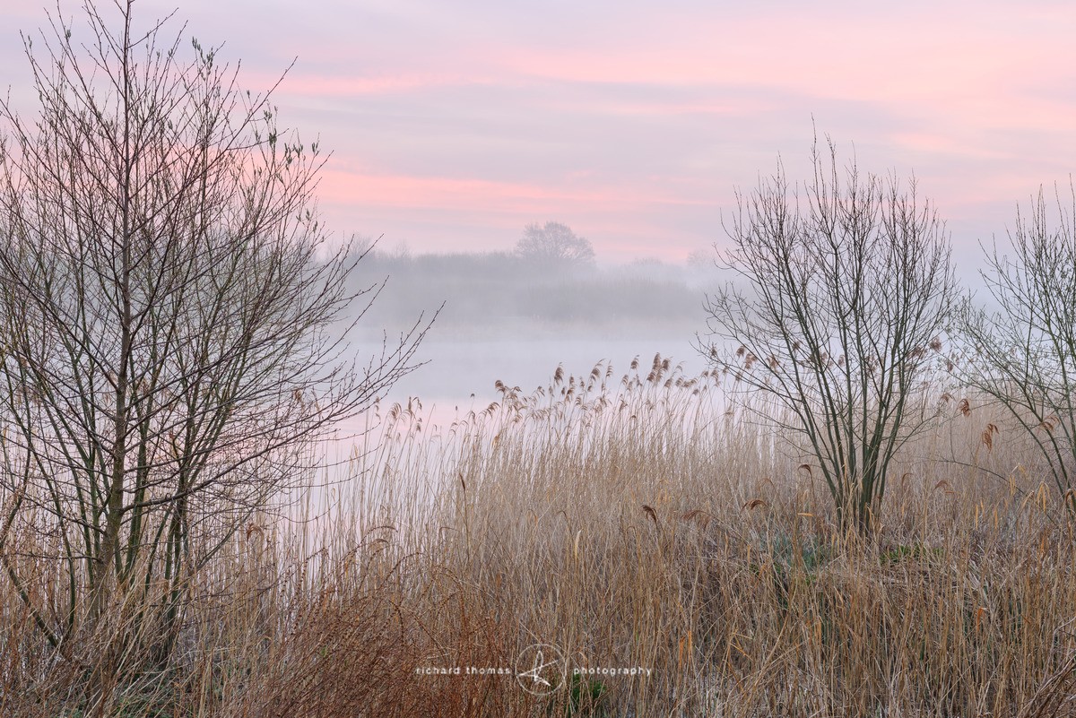 Dawn on the river bank - Freshwater