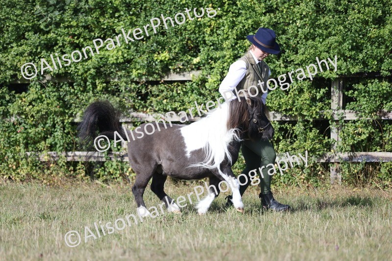 20250831-1377 - Class 21 - Inhand Open