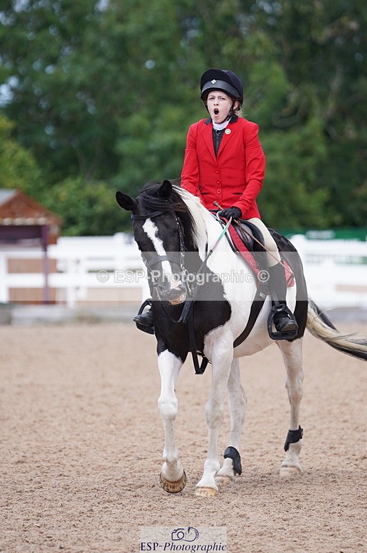 240809A-121044-00904 - Showjumping Competition