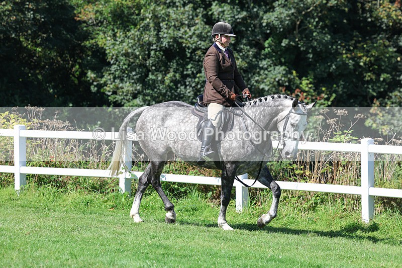 3E7A8333 - Class 4: Novice working Hunter