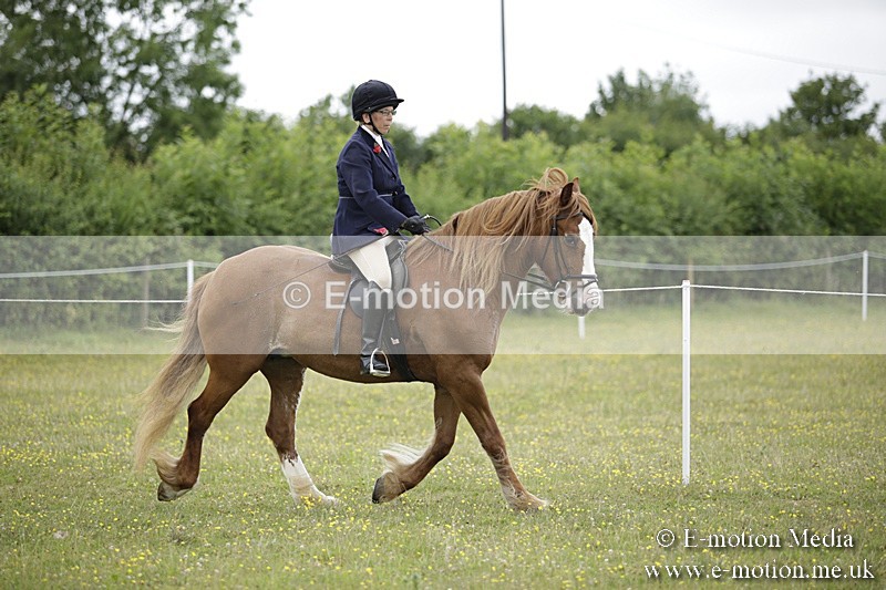 BVR160717-1512 - Ring 1 BVRC Show 16/07/17