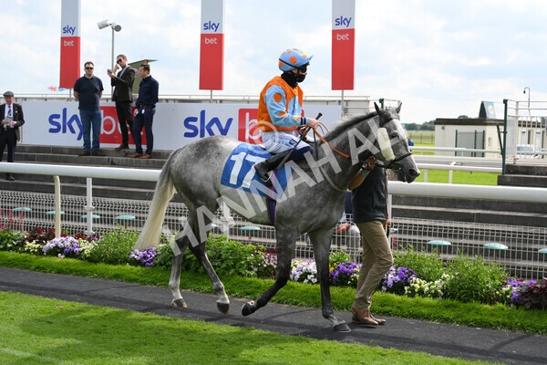 yr11062021r6-5 - Race 6 4.35pm Irish Thoroughbred Marketing Stakes