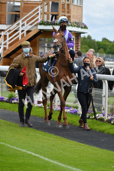 yr22052021r2-12 - Race 2 2.40pm William Hill Brontë Cup