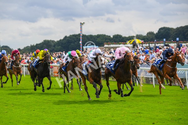 240823-Race 4-Warm Heart-0527 - Race 4 3.35pm Pertemps Network Yorkshire Oaks