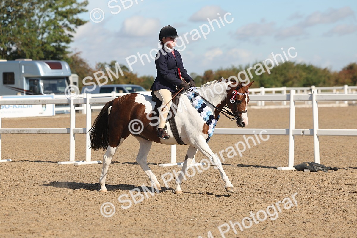 SBM_12435 - Class 304 - Ridden part Bred Horse Pony