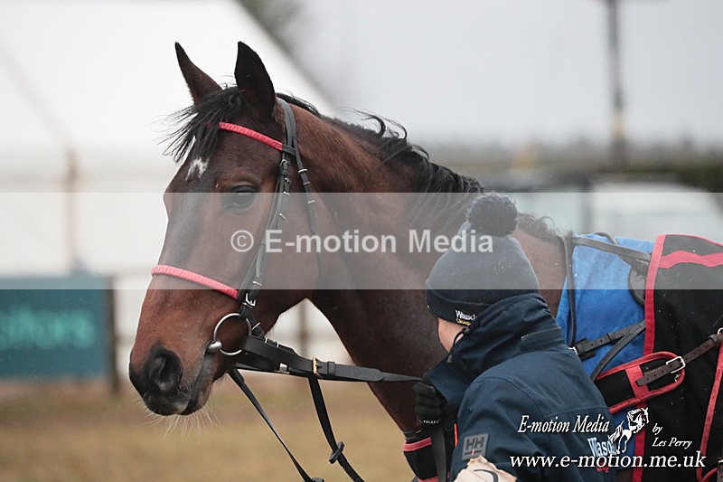 PtP 260125 967 - Cocklebarrow Point-to-Point racing with the Heythrop Hunt 26/01/25