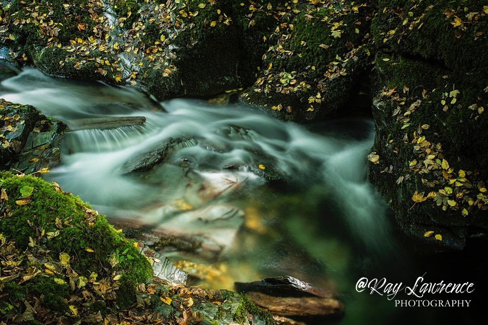 Ghostly Presence-RLP31010 - Close to Home