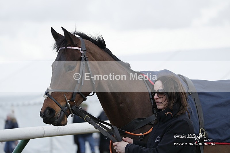 PtP 180323 1021 - Shelfield Park Races with Croome & West Warwickshire Hunt  18/03/23