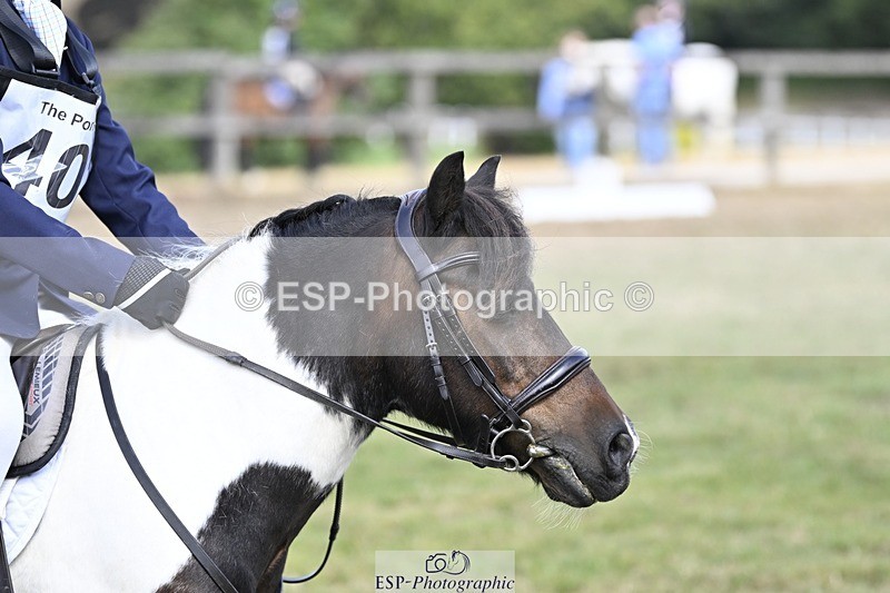 250821A-105044-14572 - DR 10.00 to 11.00