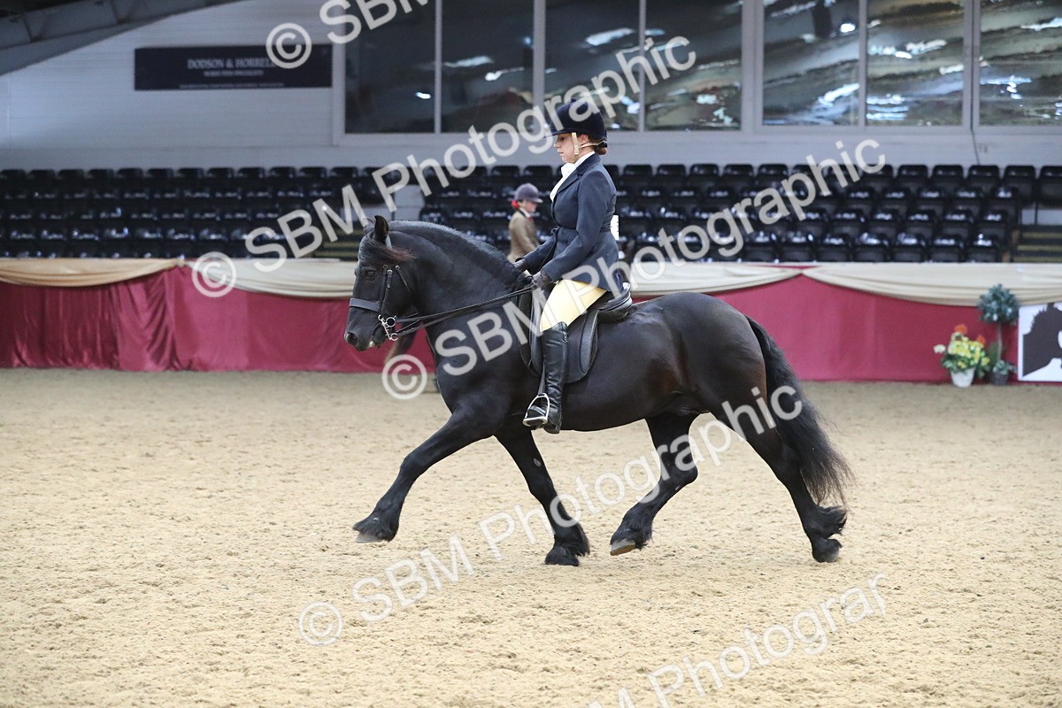 SBM_16361 - Class 502 M&M Ridden Supreme Final