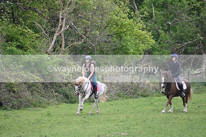 WJ6_3284 - A camera