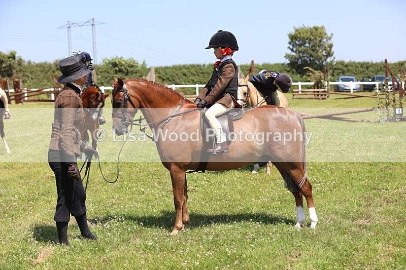 JPP_2288 - Class 20: Tiny Tots Working Hunter Pony