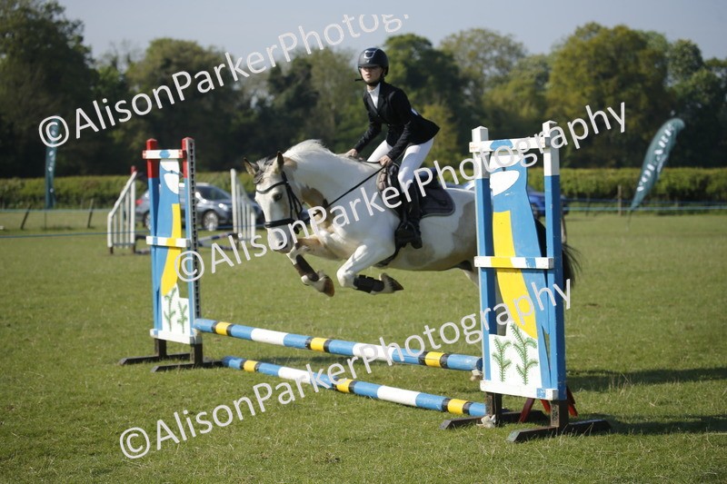 20250427-0315 - Class 12 - Rookie Jumping 40cm