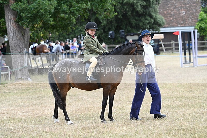 WJ7_0448 - Class 6 Ridden Mountain and Moorland
