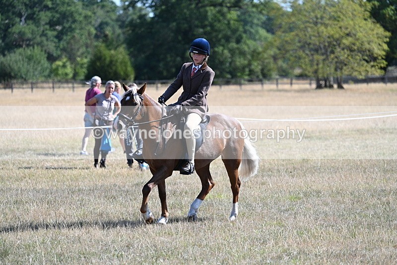 WJ7_4002 - Class 9 Mountain & Moorland Ridden