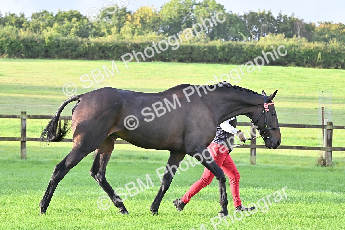 SBM_32588 - S15 - Top Turnout In Hand