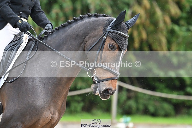 231019-145709-04650 - 129-TCH.TOP.LABEL-Janet.Clarke-DR