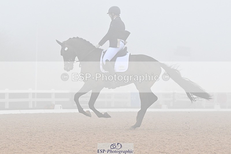 240217A-140902-03358 - 256-Bradley.Moore-Taylor-Ouyuan