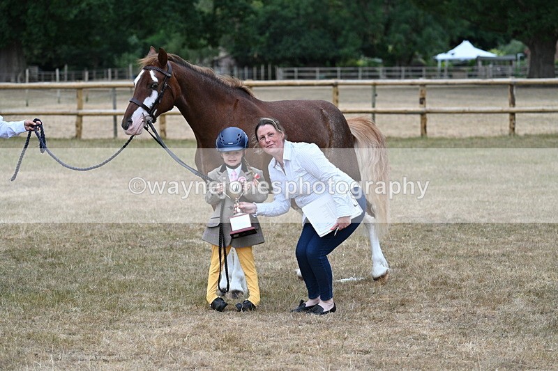 WJ7_9358 - Prettiest Mare Champs