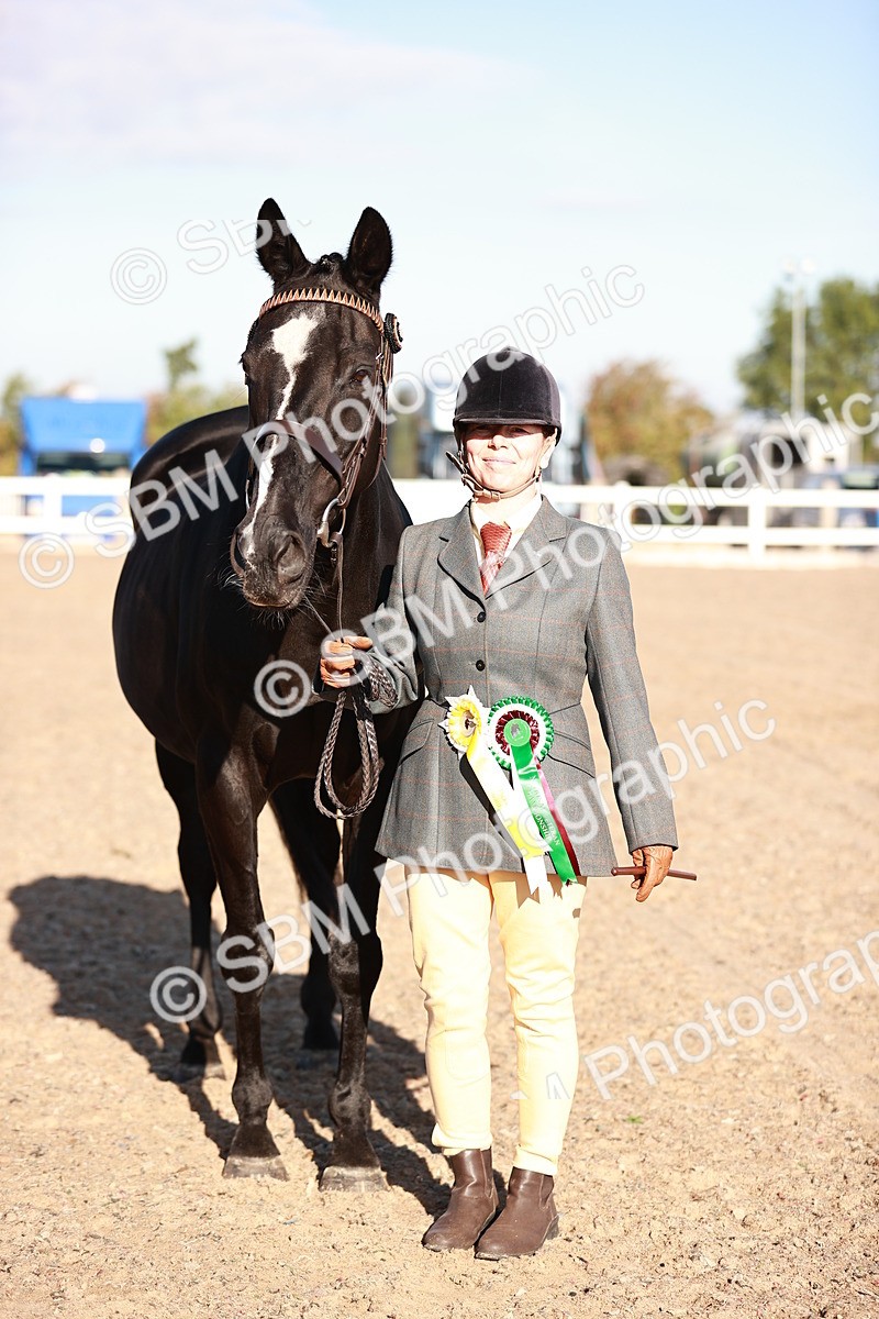 SBM_11230 - Class 401 - IH  Veteran horse