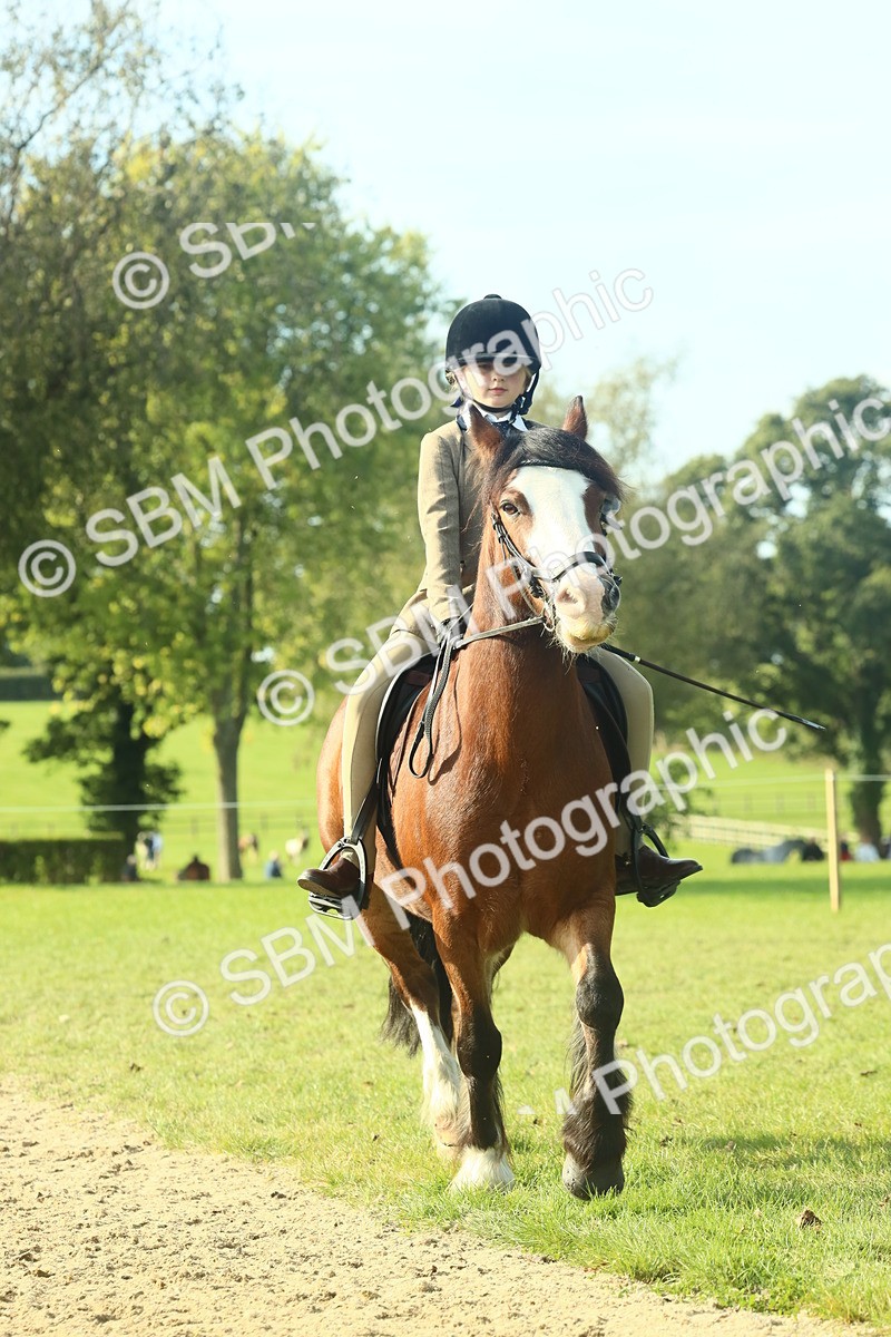 SBM_59923 - S38 - Starters Ridden Showing