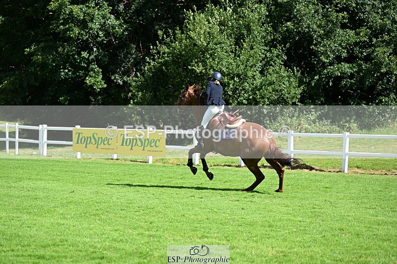 250703A-101314-02527 - Cls 1 Snr Foxhunter