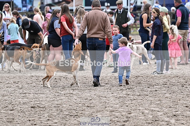 250524A-152515-12733 - East Devon Hounds