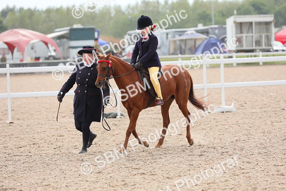 SBM_16905 - Class 314 Family Horse/Pony