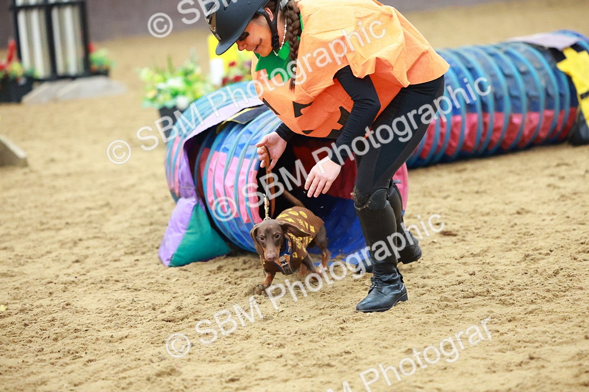 SBM_002211 - Class 3 - Horse & Hound (60cm)