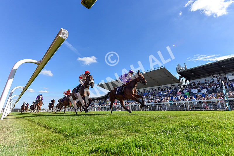 220926-Race 3-Call Me Tomorrow-7479 - Race 3 2.40pm Christmas Parties R Us Restricted Novice Stakes