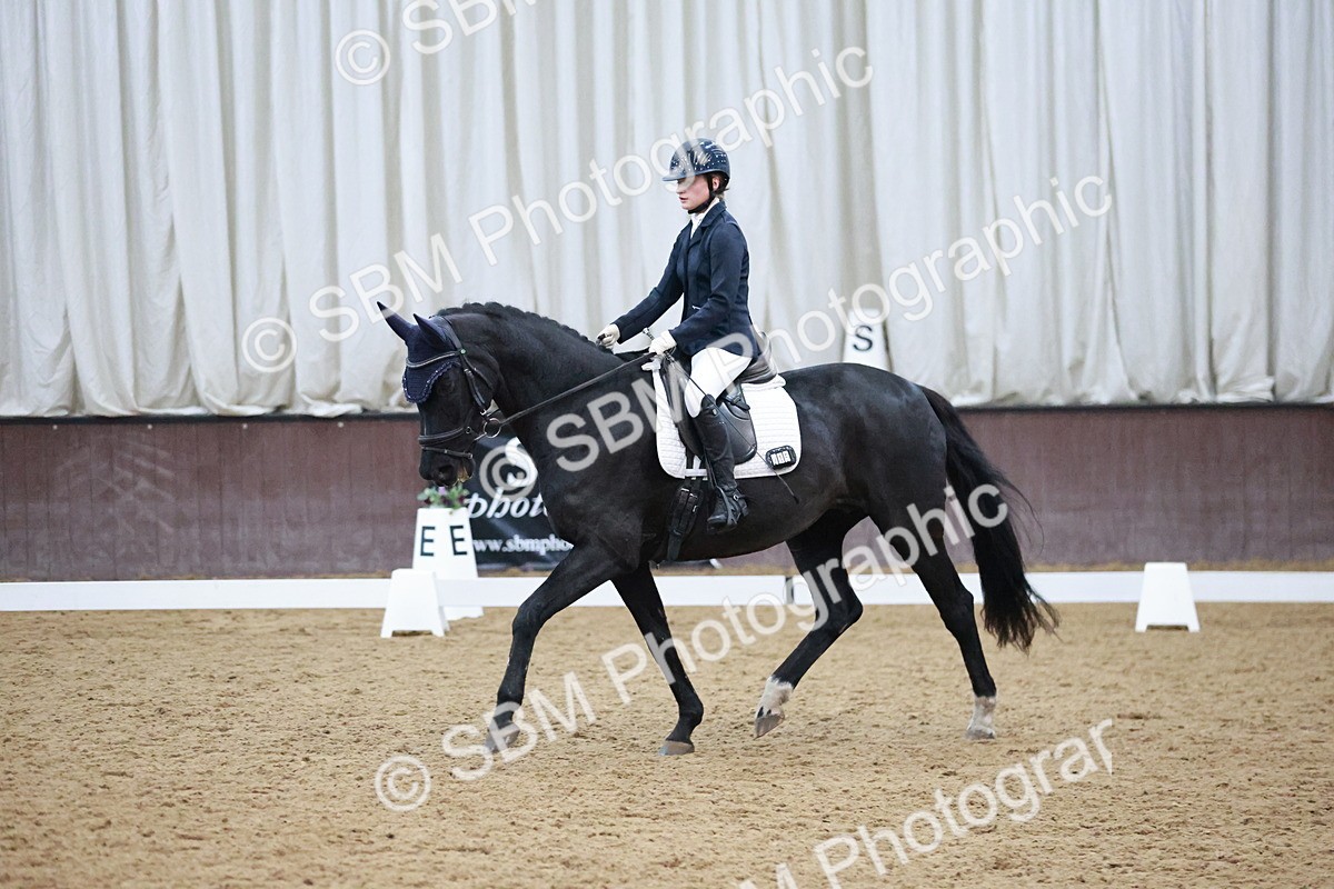 SBM_004717 - Ring 3 - International -  Working Hunter Classes 23-2-25