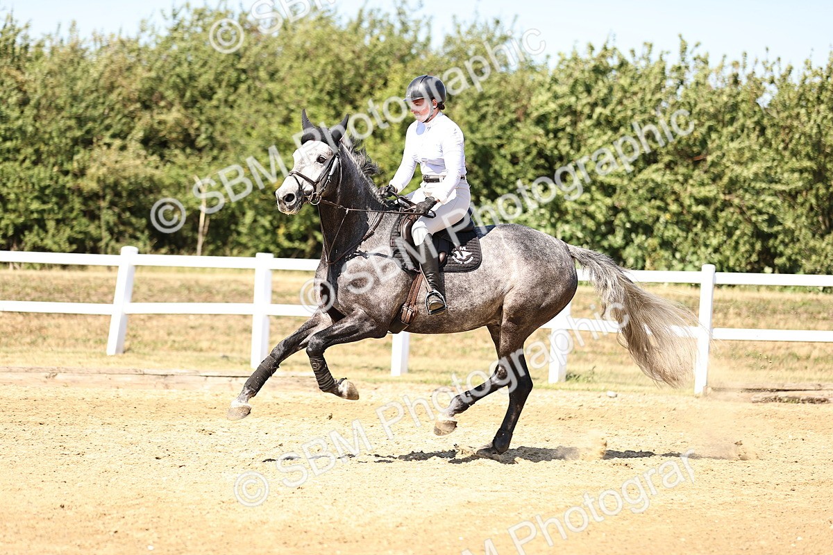 SBM_015429 - Class 16 - Senior foxhunter - 1.20m Open