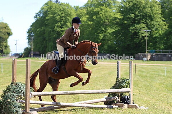 IMG_3762 - Working Hunter