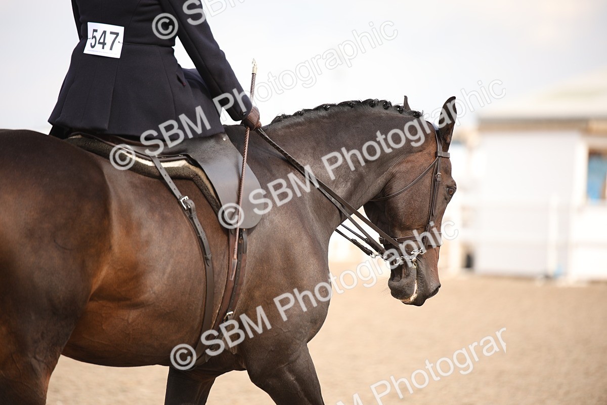 SBM_06679 - Class 23 SSA Classical